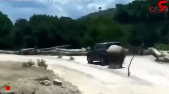حمله ی وحشیانه کرگدن به ماشین توریست ها! + فیلم
