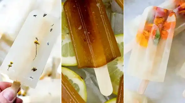 چگونه بستنی یخی خانگی بسازیم؟ 15 روش خلاقانه و آسان بدون قالب حرفه‌ای