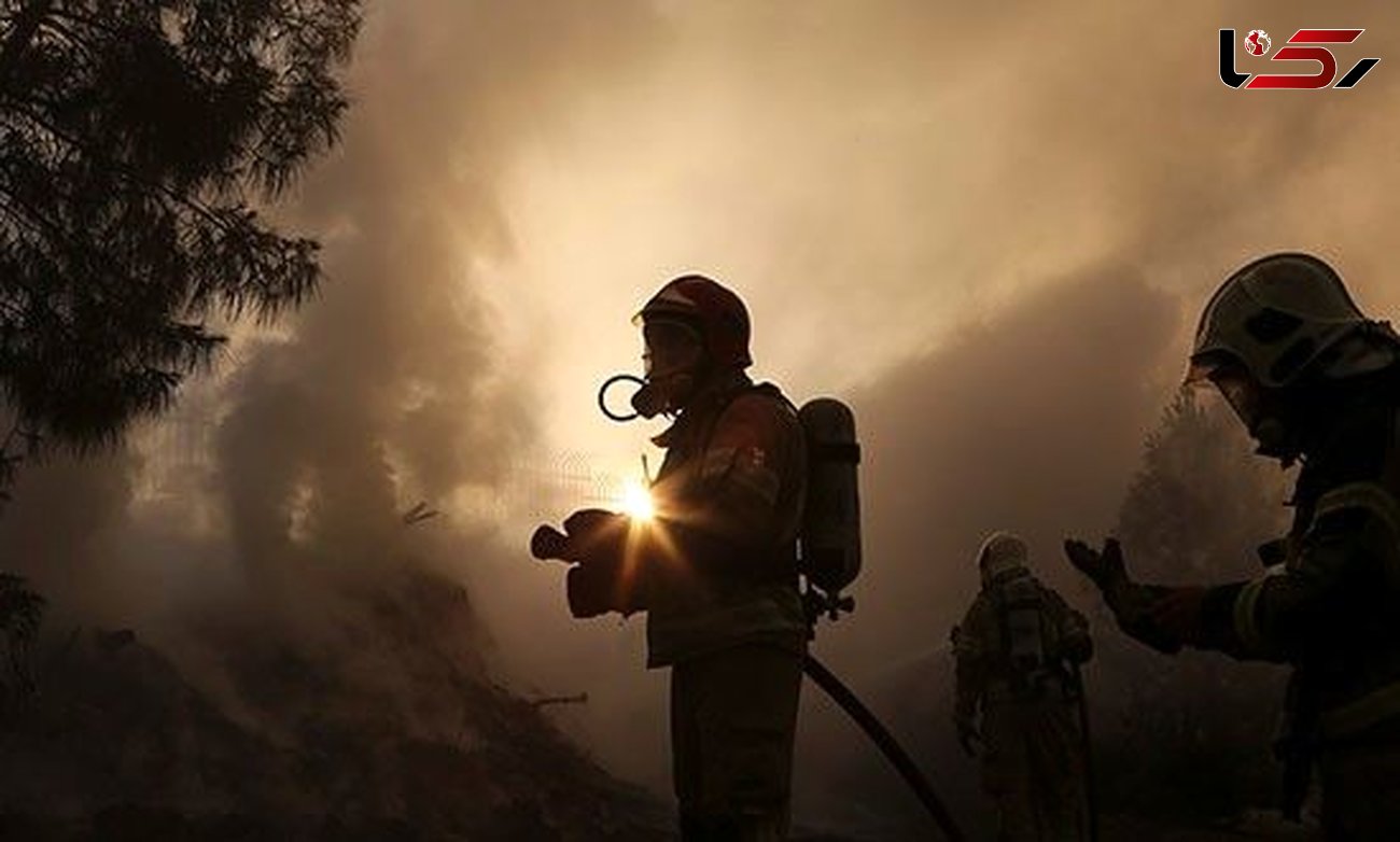 داوری : کمتر از 10درصد آتش سوزی های تهران عمدی بود + فیلم