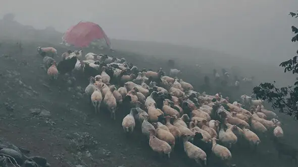 اولین برف پاییزی اسالم، روستای شونده چاله