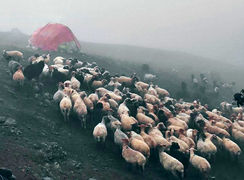 اولین برف پاییزی اسالم، روستای شونده چاله