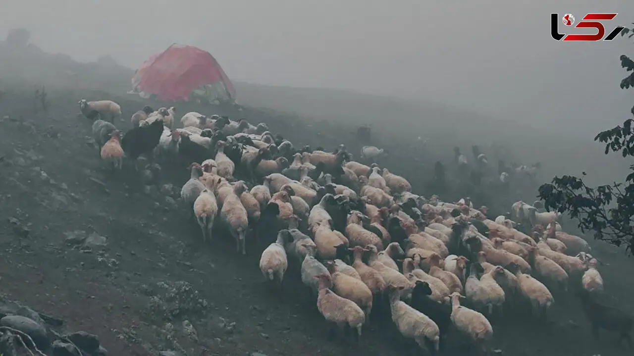 اولین برف پاییزی اسالم، روستای شونده چاله