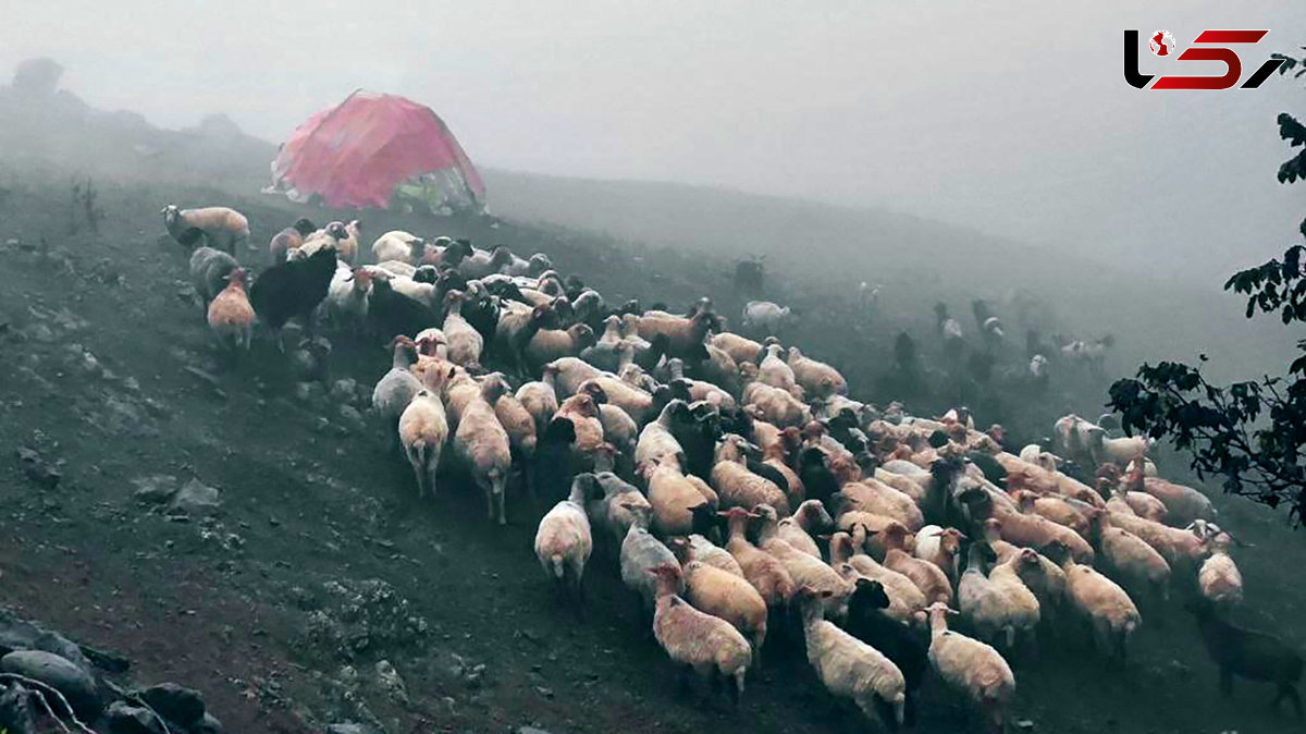 اولین برف پاییزی اسالم، روستای شونده چاله