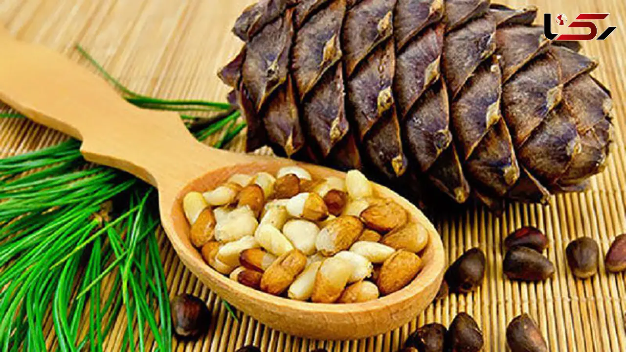 چلغوز چیست؟