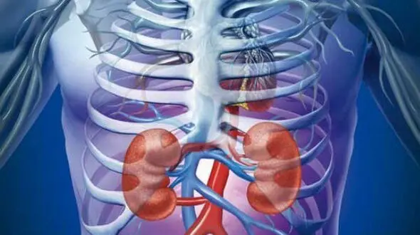 یک بیماری خود ایمنی جدید شناسایی شد