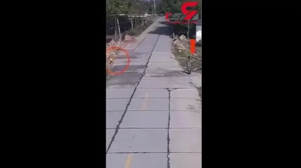 لحظه تصادف وحشتناک کودک بازیگوش در مقابل چشمان مادر سهل انگار / در چین رخ داد + فیلم 