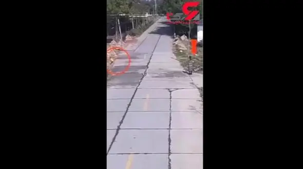 لحظه تصادف وحشتناک کودک بازیگوش در مقابل چشمان مادر سهل انگار / در چین رخ داد + فیلم 