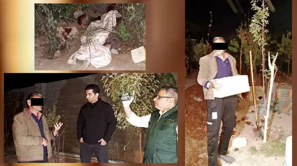 پدر برای دفاع از جان خود سر پسر معتادش را خرد کرد