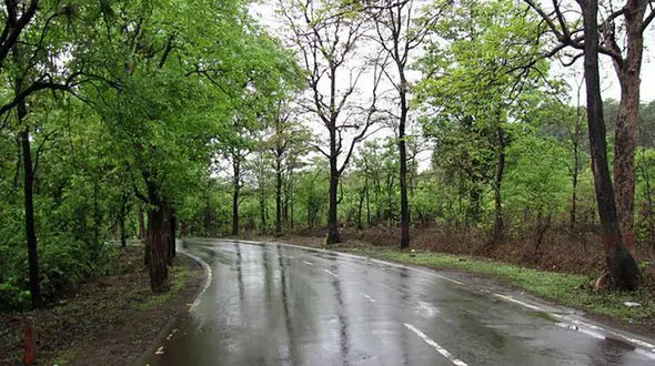 هشدار هواشناسی نسبت به وقوع صاعقه و تندبادهای شدید