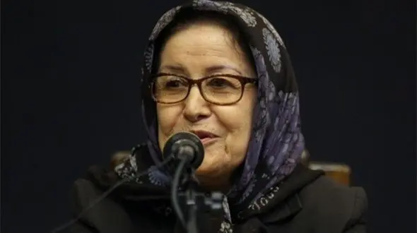 فعالیت چندین انجمن در حوزه کودکان ممنوع شده است/ حذف معضل کار کودک از فهرست شورای عالی اجتماعی کشور