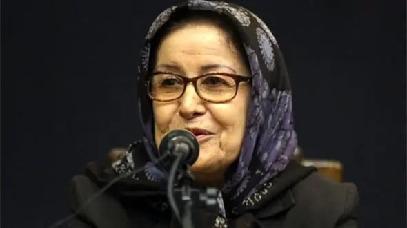 فعالیت چندین انجمن در حوزه کودکان ممنوع شده است/ حذف معضل کار کودک از فهرست شورای عالی اجتماعی کشور