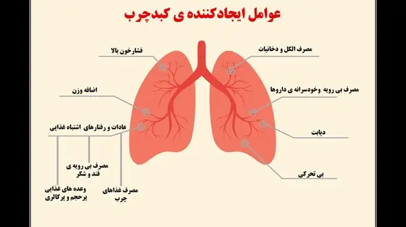 راز درمان کبد چرب 