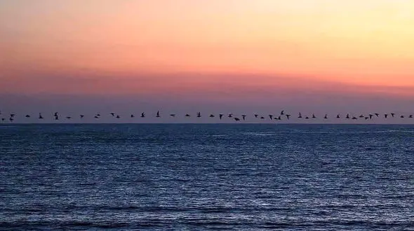 تفسیر فال حافظ امروز 6 اردیبهشت 1405