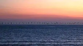 تفسیر فال حافظ امروز 6 اردیبهشت 1405