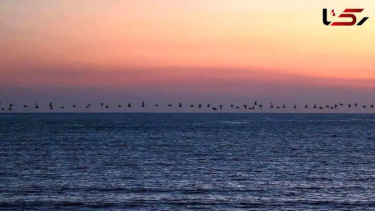 تفسیر فال حافظ امروز 6 اردیبهشت 1405