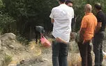 جسد یک زن داخل چمدان صورتی رنگ ! / در جاده هراز کشف شد !  + عکس صحنه