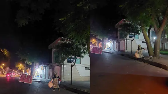 حذف سطل های زباله از تهران در دستور کار شهرداری / اضافه شدن زباله گردی به مشاغل زنان شهر