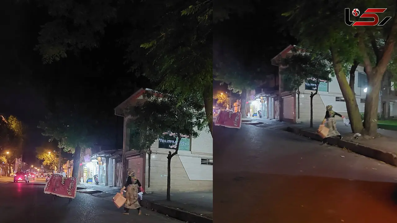 حذف سطل های زباله از تهران در دستور کار شهرداری / اضافه شدن زباله گردی به مشاغل زنان شهر