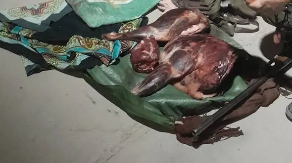 شکارچی غیرمجاز بز وحشی در کرمان دستگیر شد