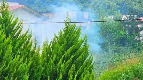 روز زیباتون بخیر و شادی 