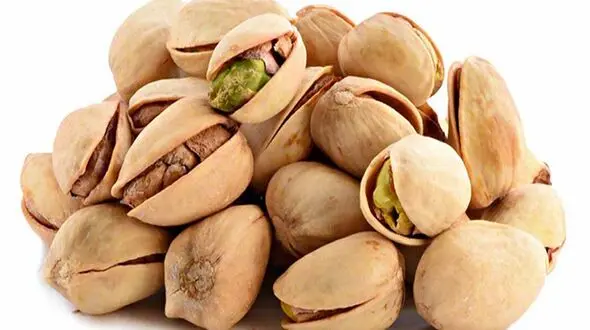 سایت فروش عمده پسته