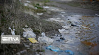آیین‌نامه «کاهش مصرف کیسه‌های پلاستیکی» در دولت تصویب شد