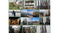 افزایش کشفیات و برخورد قضایی با متخلفان هم‌زمان با اوج مهاجرت پرندگان