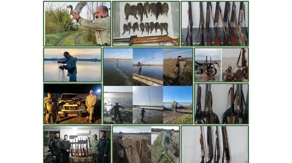 افزایش کشفیات و برخورد قضایی با متخلفان هم‌زمان با اوج مهاجرت پرندگان