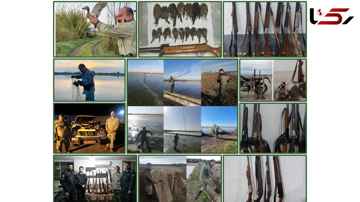 افزایش کشفیات و برخورد قضایی با متخلفان هم‌زمان با اوج مهاجرت پرندگان