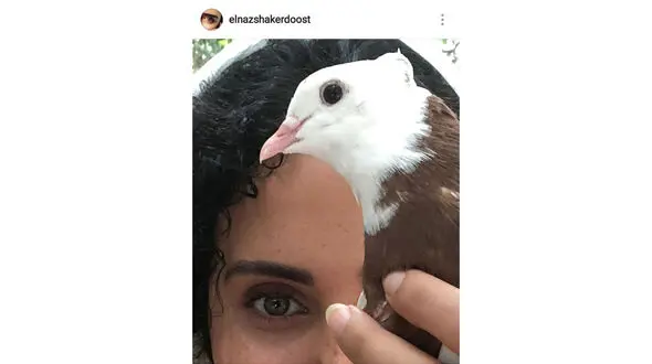  خانم بازیگر ایرانی کفتر باز است! + تصویر