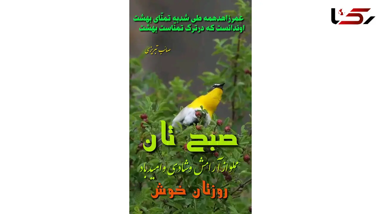 فال ابجد امروز / 13 تیر + فیلم