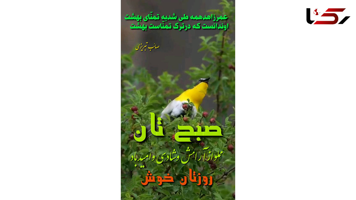 فال ابجد امروز / 13 تیر + فیلم