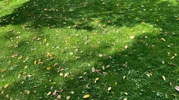 فال ابجد امروز اول آبان 1402 + فیلم