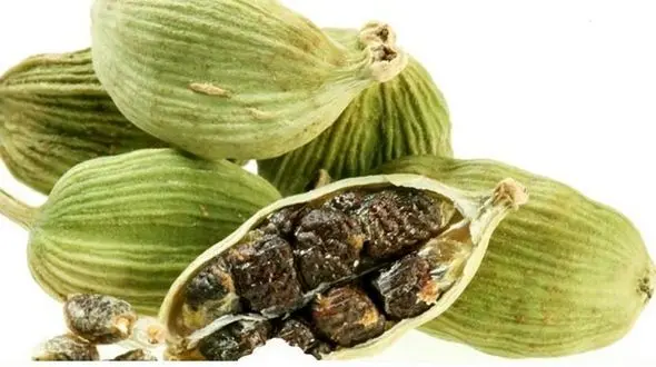 شل کننده عضلات در بین ادویه جات