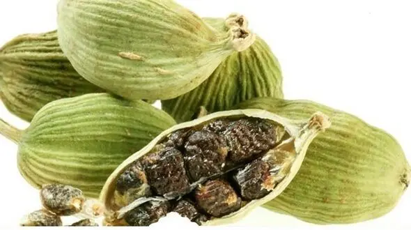 شل کننده عضلات در بین ادویه جات