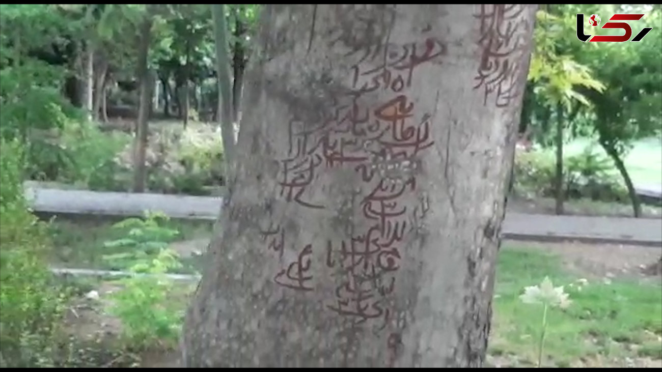 درختان پارک لاله تهران منقش به دعا و طلسم / شهرداری توضیح می دهد + فیلم