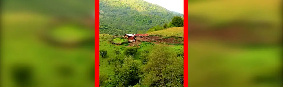 فیلم طبیعت شگفت‌انگیز جنگل سنگچال