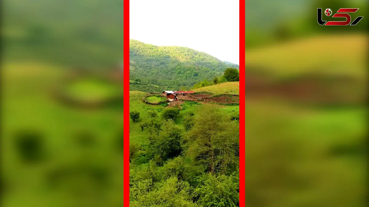 فیلم طبیعت شگفت‌انگیز جنگل سنگچال