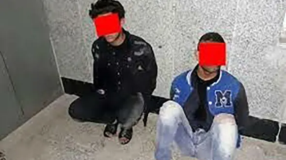 دستگیری سارقان تابلو فرش میلیاردی در قائمشهر