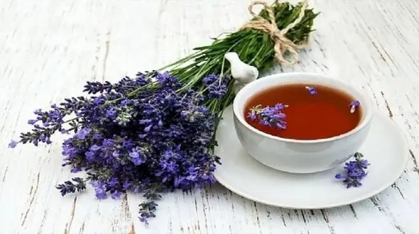 فشار خون‌ تان بالاست؟ این گیاه معجزه می‌ کند!