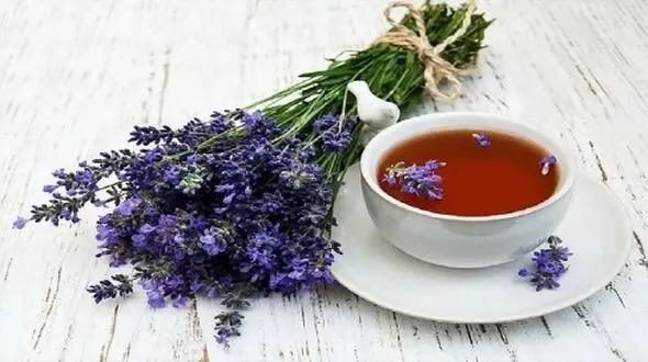 فشار خون‌ تان بالاست؟ این گیاه معجزه می‌ کند!