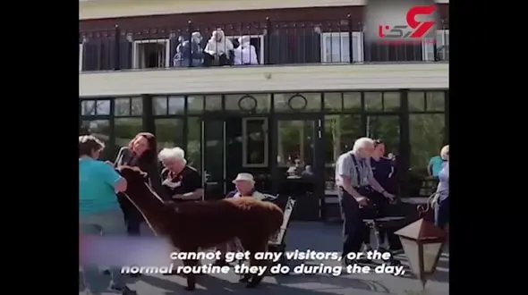 اقدام دیدنی مدیر خانه سالمندان برای بهبود روحیه سالمندان در روز های کرونایی + فیلم