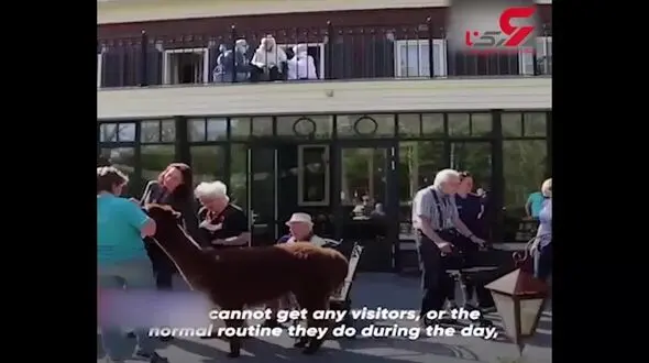 اقدام دیدنی مدیر خانه سالمندان برای بهبود روحیه سالمندان در روز های کرونایی + فیلم