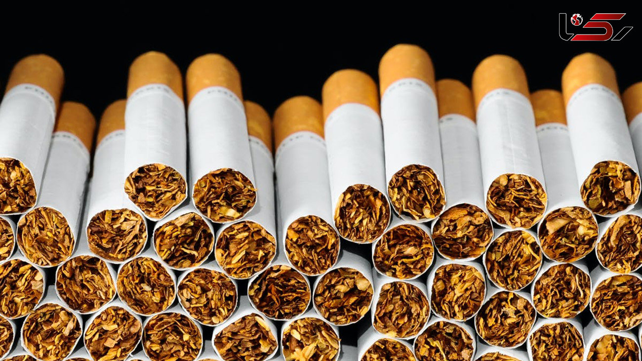 کشف هشت هزار نخ سیگار قاچاق در قزوین