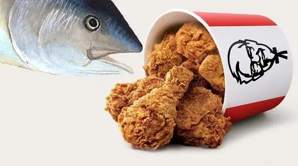 از خوراک ماهی تا سوخاری