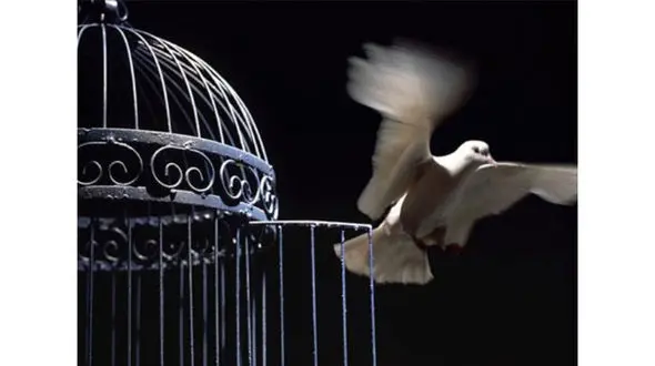 بهای سخت ترک اعتیاد و حفظ آن/ سرنوشت 12 سال زندگی افیونی