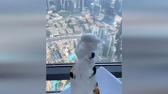 این رستوران در گینس ثبت شد + فیلم