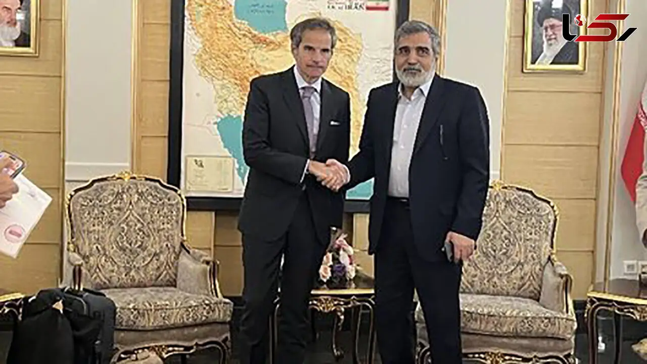 استقبال کمالوندی از گروسی در تهران