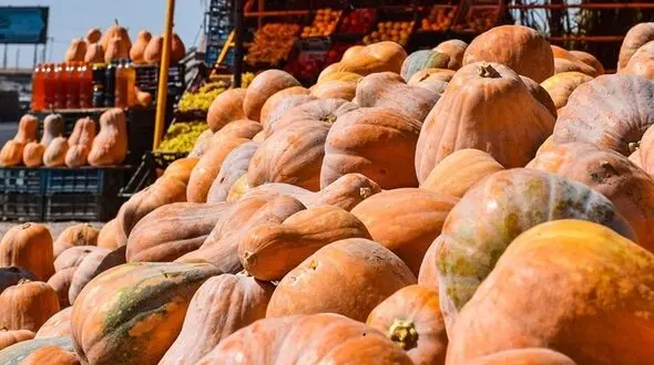 پخت خورشت کدو حلوایی و کوی تره به روش سنتی بانوی روستایی گیلانی + فیلم