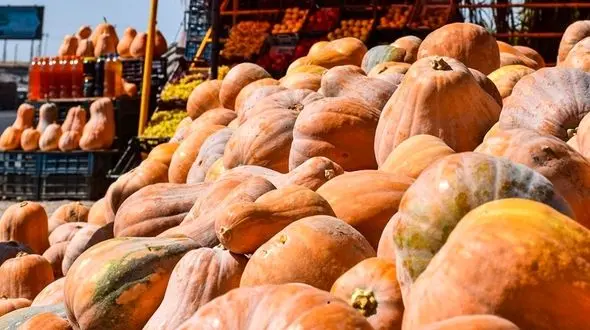 پخت خورشت کدو حلوایی و کوی تره به روش سنتی بانوی روستایی گیلانی + فیلم